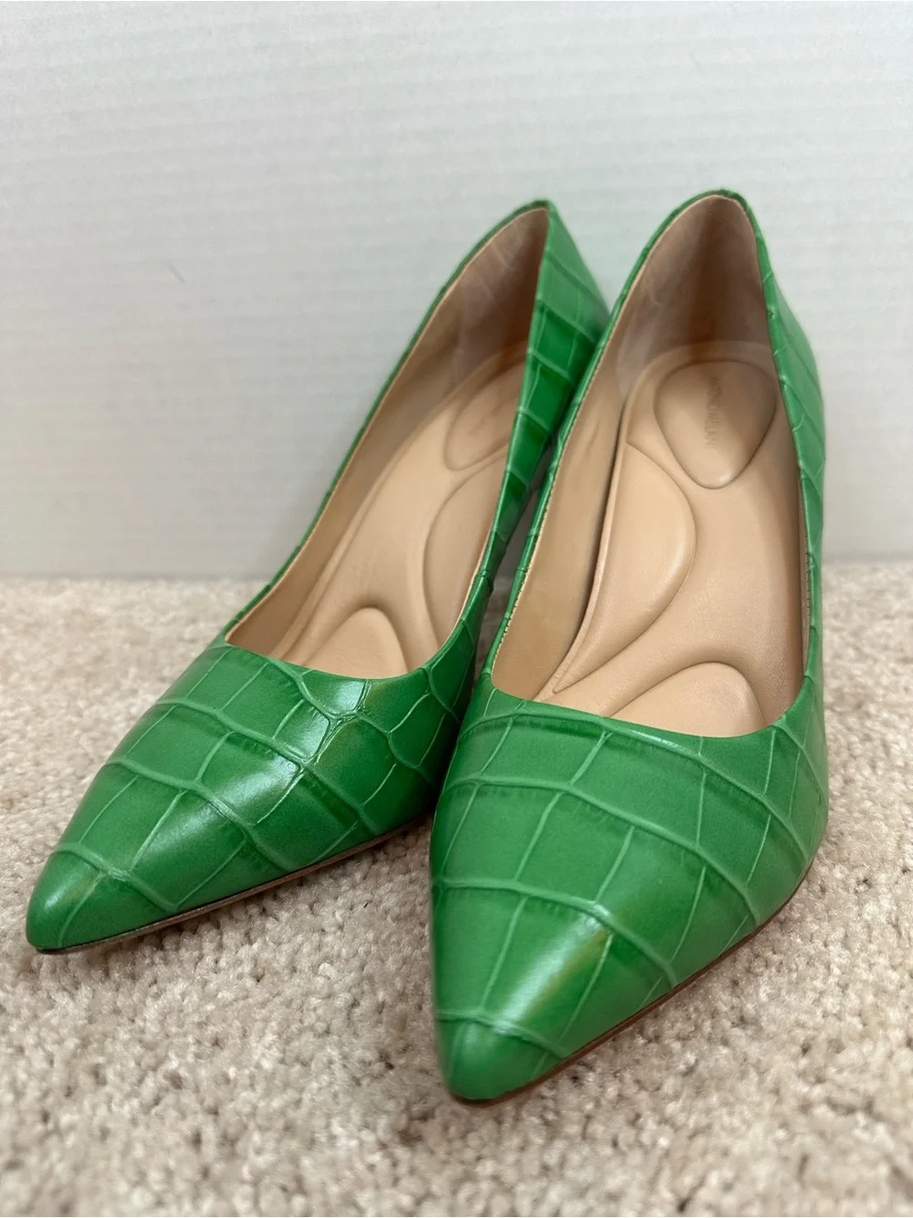 ANTONIO MELANI Green Croc-Embossed Pointed Toe heels, size 9.5, worn once